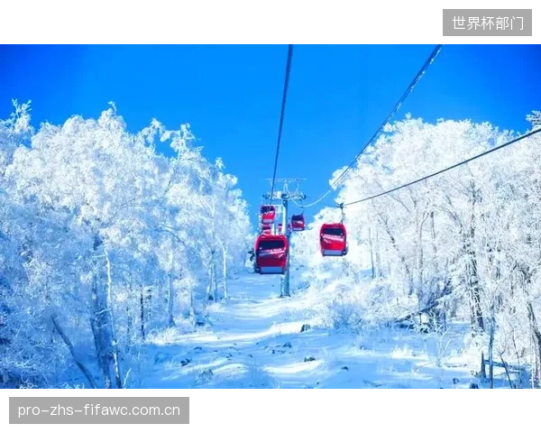 北大湖滑雪场的四季运营改造，揭示了“反季节”资产盘活如何优化其投资绩效评价模型