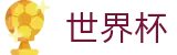 2026美加墨世界杯FIFA · 网页版入口 · 线上买球软件
